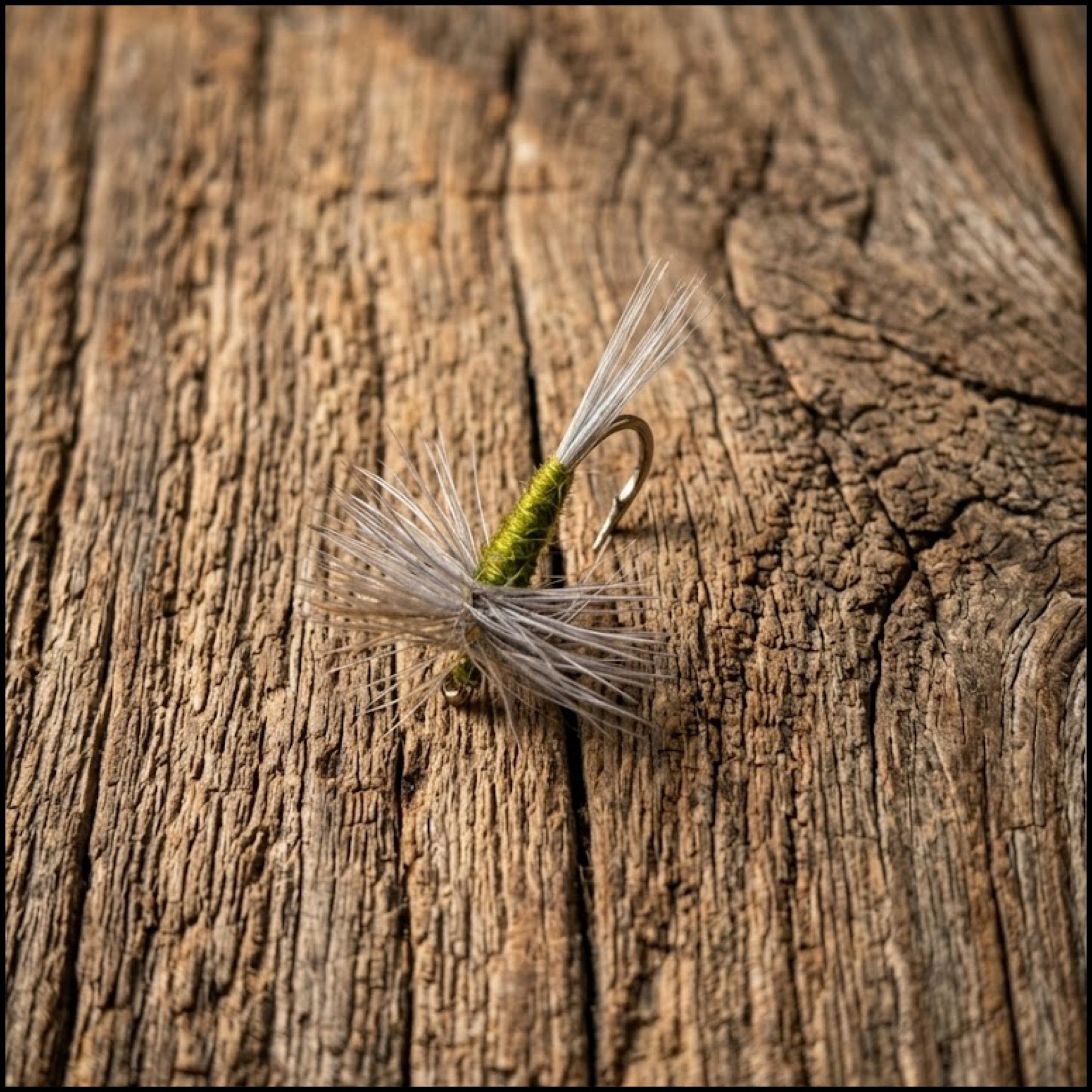 Blue Winged Olive