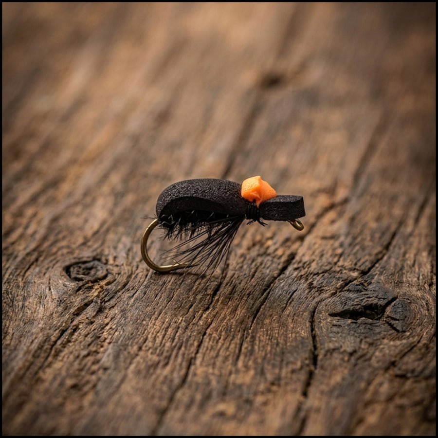 Foam Beetle