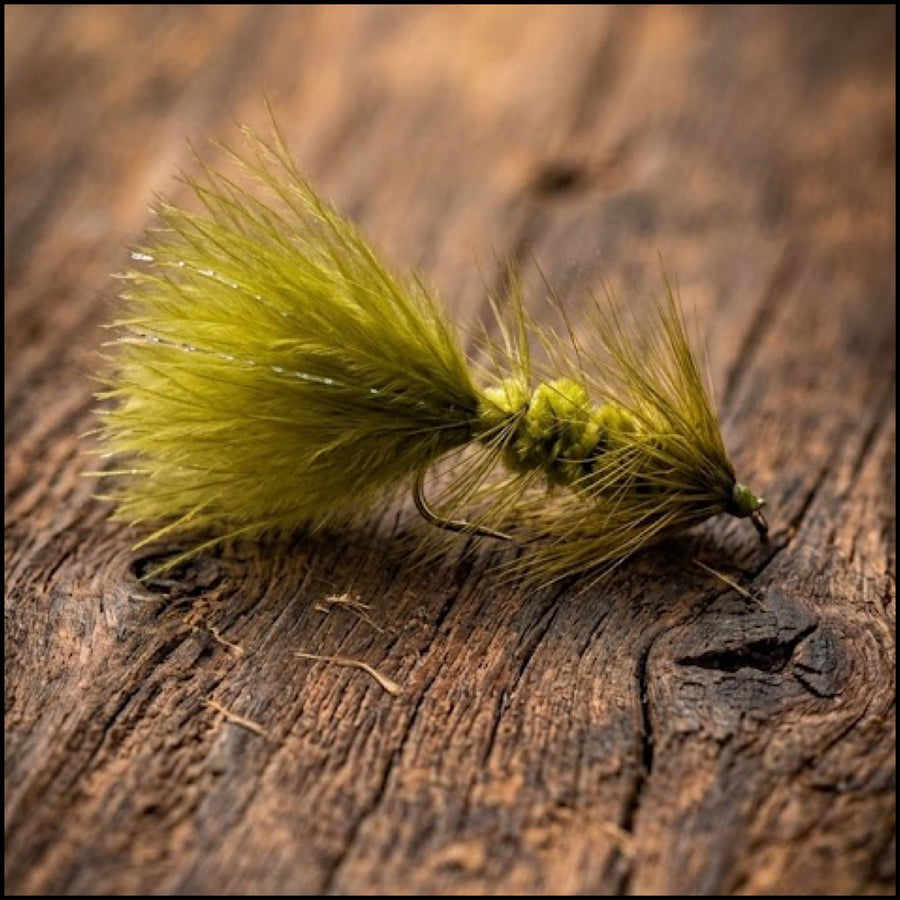 Wooly Bugger