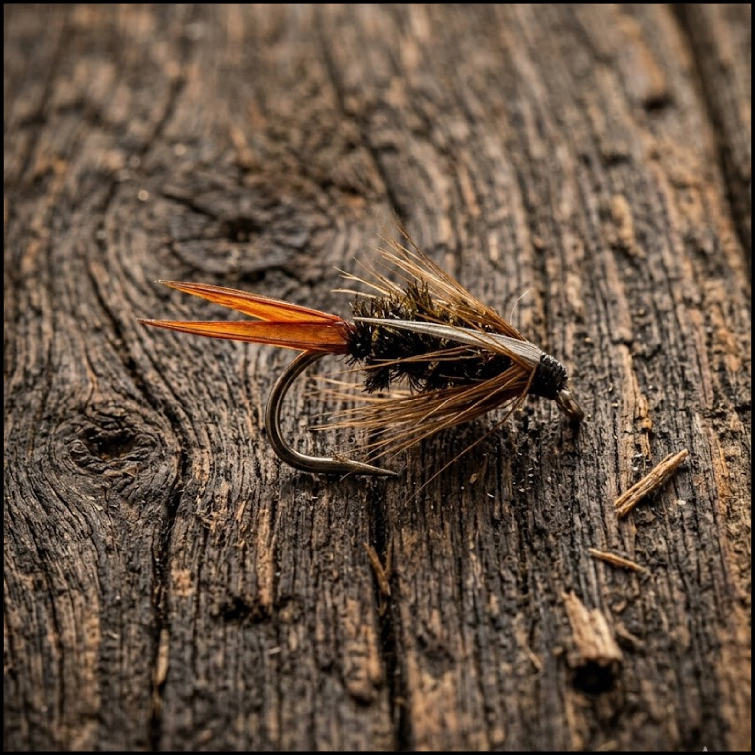 Prince Nymph