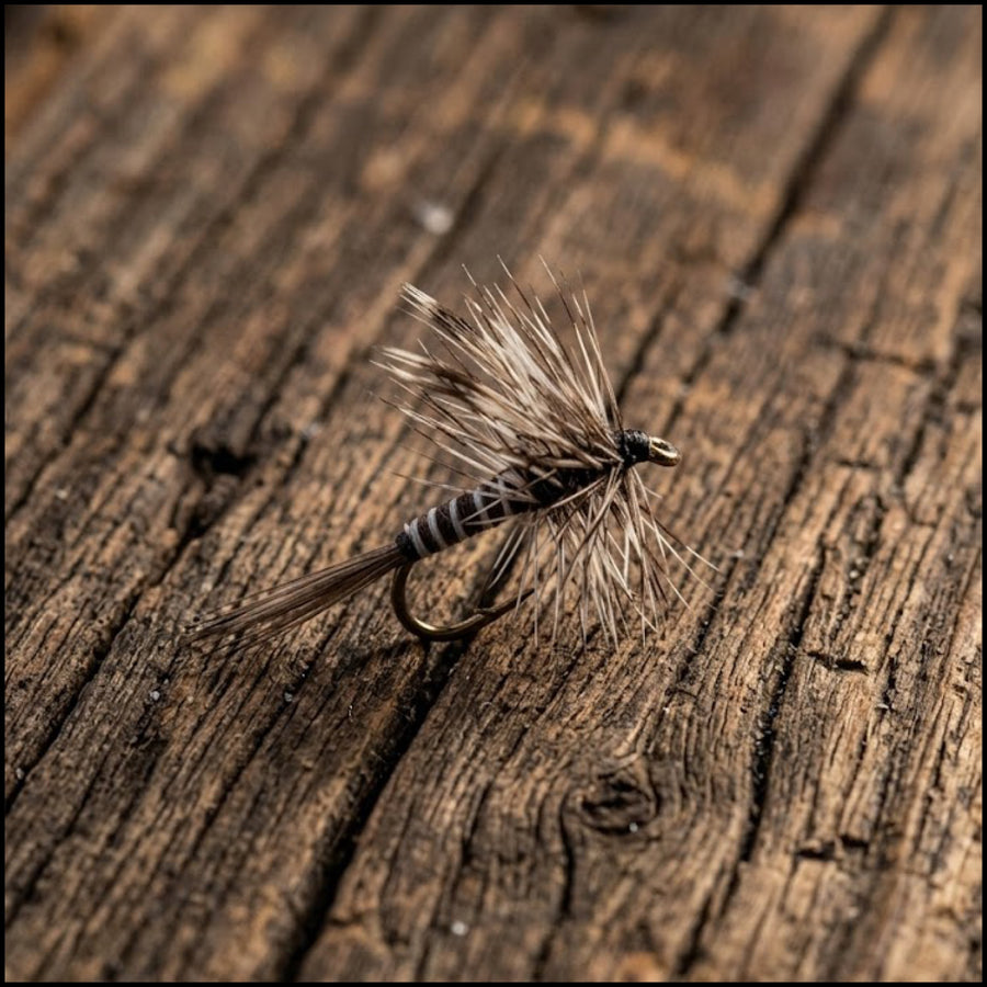 Mosquito