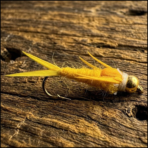 Bead Head Stonefly Nymph