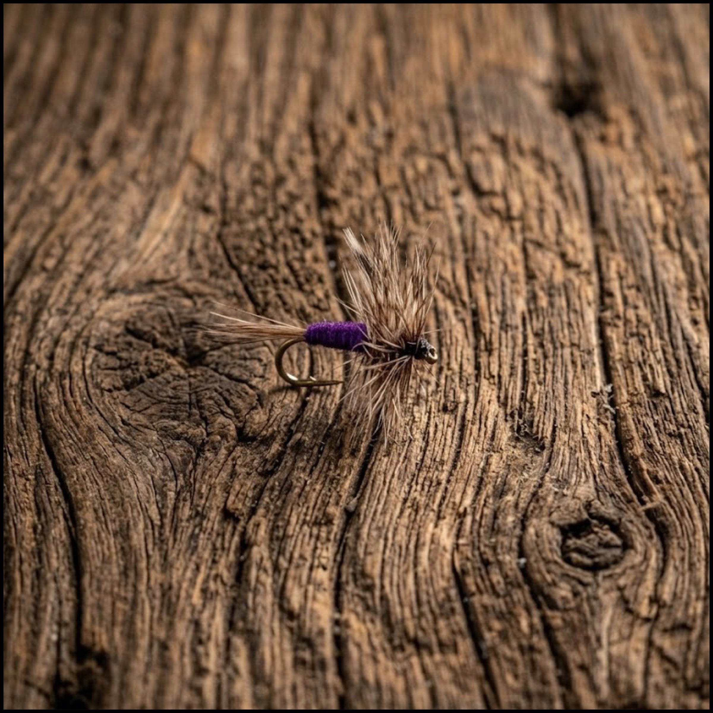 Purple Haze