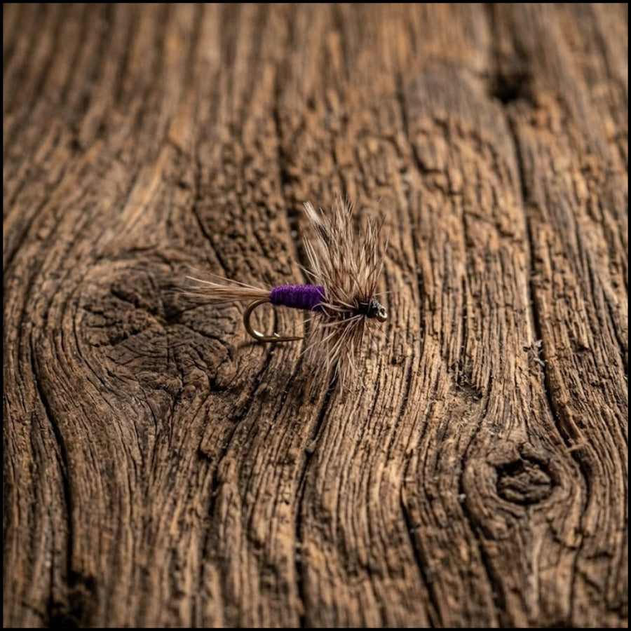 Purple Haze