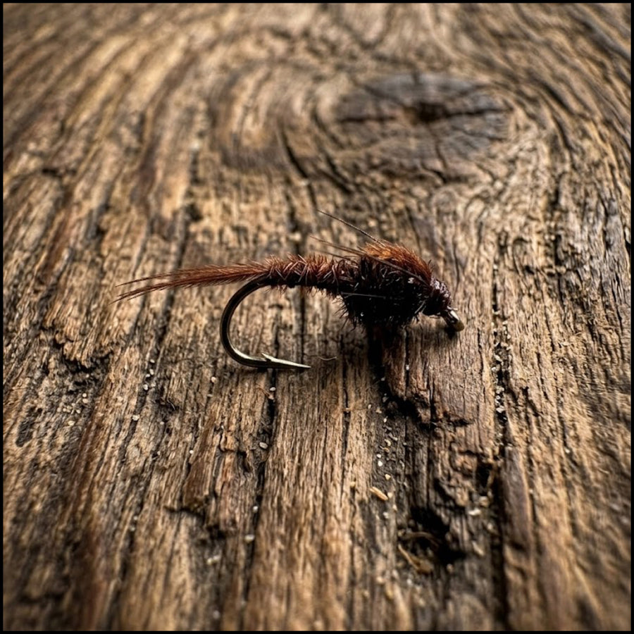 Pheasant Tail Nymph