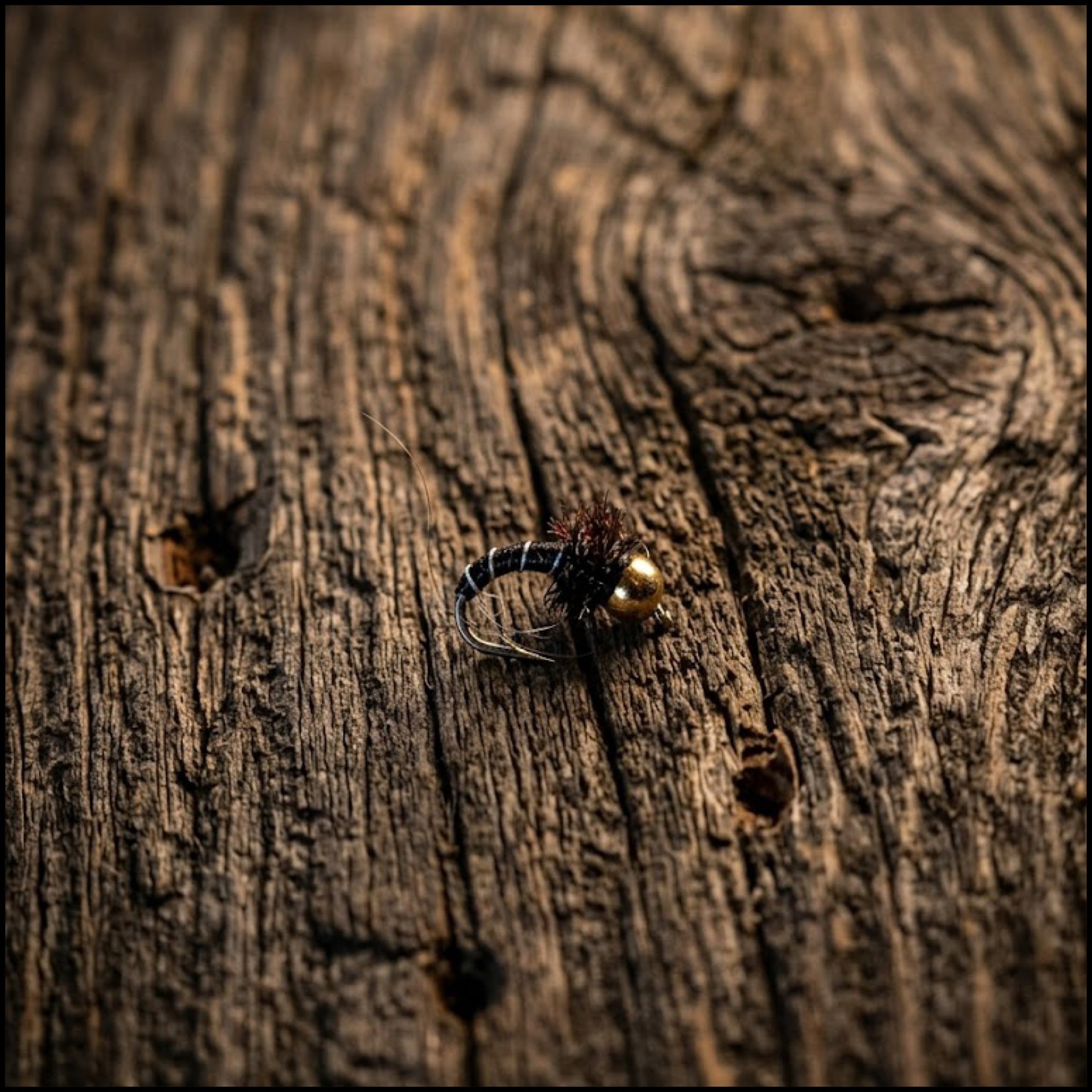 Bead Head Zebra Midge