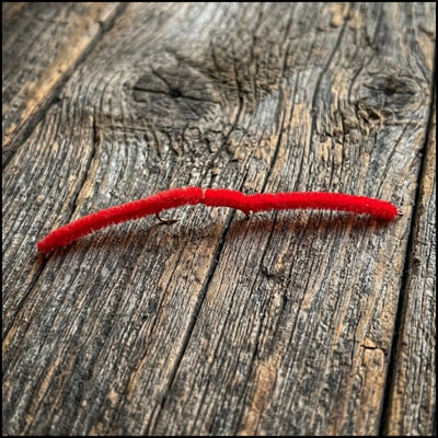 San Juan Worm