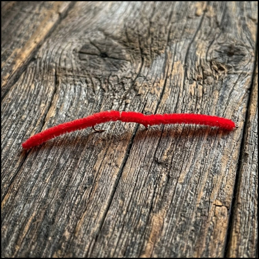 San Juan Worm
