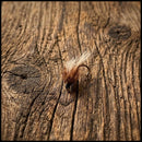 Caddis Pupa
