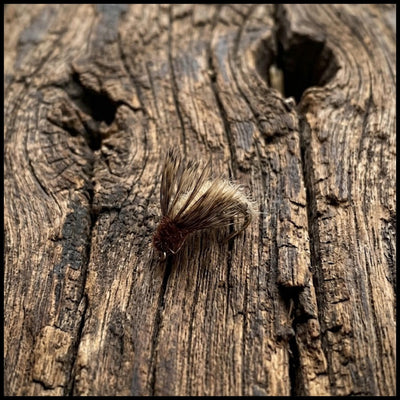 Pale Morning Dun Soft Hackle