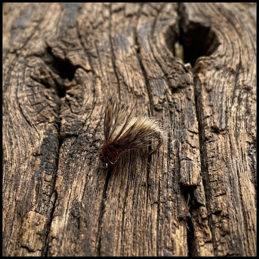 Pale Morning Dun Soft Hackle