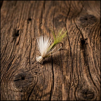 X-Caddis