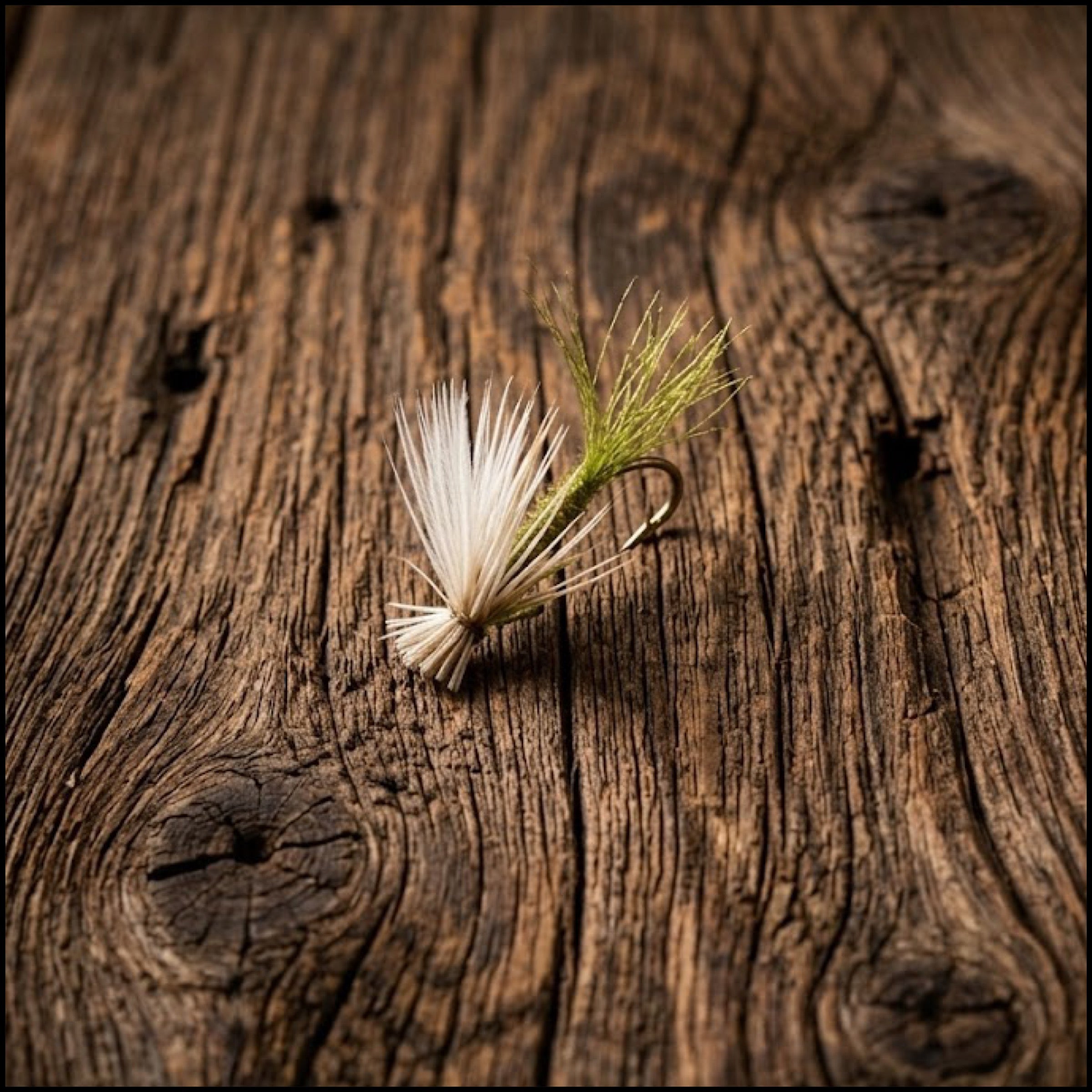 X-Caddis